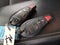 2016 Jeep Cherokee 4WD 4dr Altitude