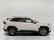 2025 Toyota RAV4 XLE AWD
