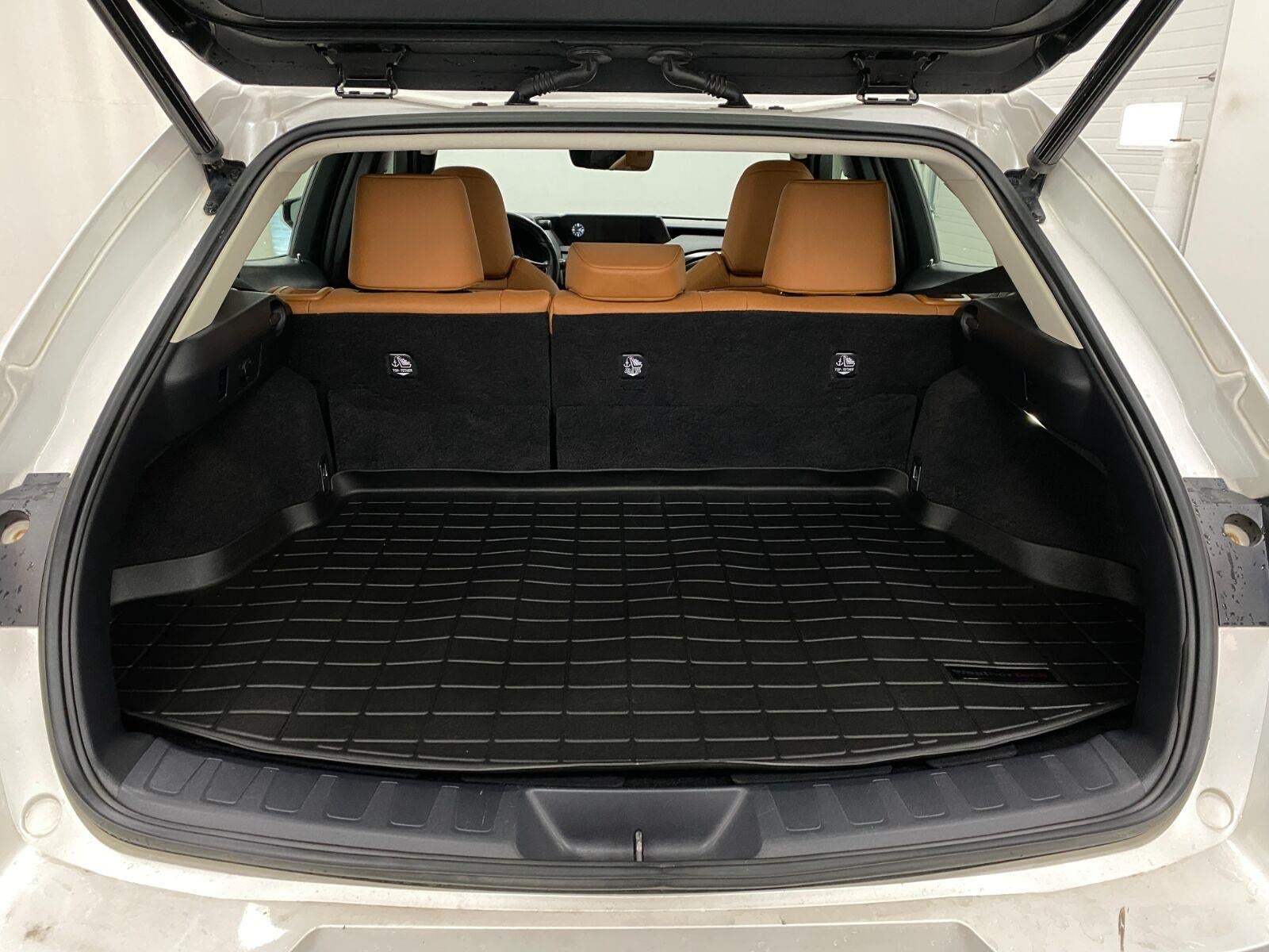 2021 Lexus UX UX 250h AWD